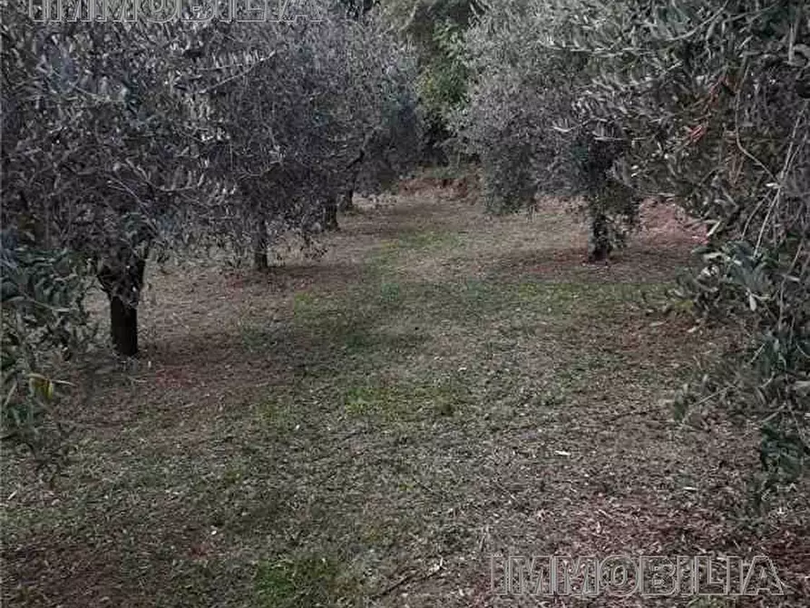 Immagine 4 di Terreno in vendita  a Monterchi