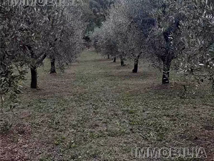 Immagine 5 di Terreno in vendita  a Monterchi