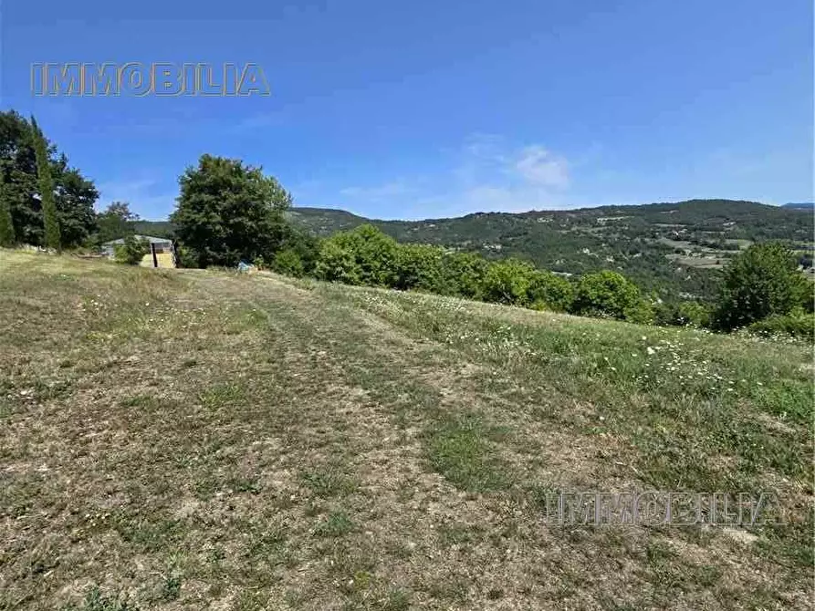 Immagine 22 di Rustico / casale in vendita  a Caprese Michelangelo