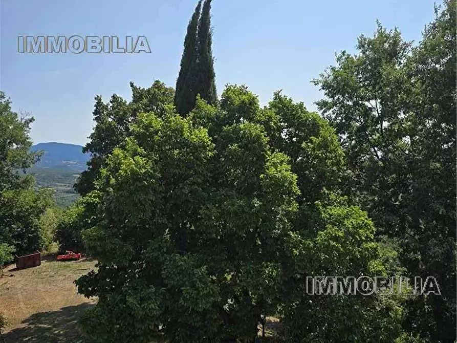 Immagine 23 di Rustico / casale in vendita  a Caprese Michelangelo