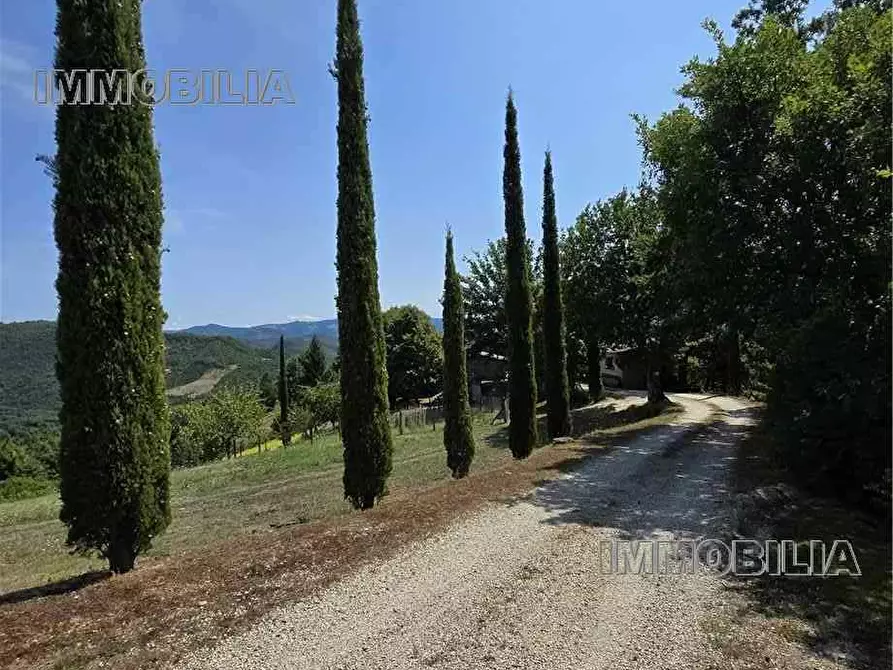 Immagine 25 di Rustico / casale in vendita  a Caprese Michelangelo