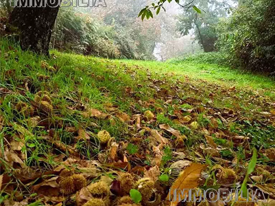 Immagine 30 di Rustico / casale in vendita  a Caprese Michelangelo