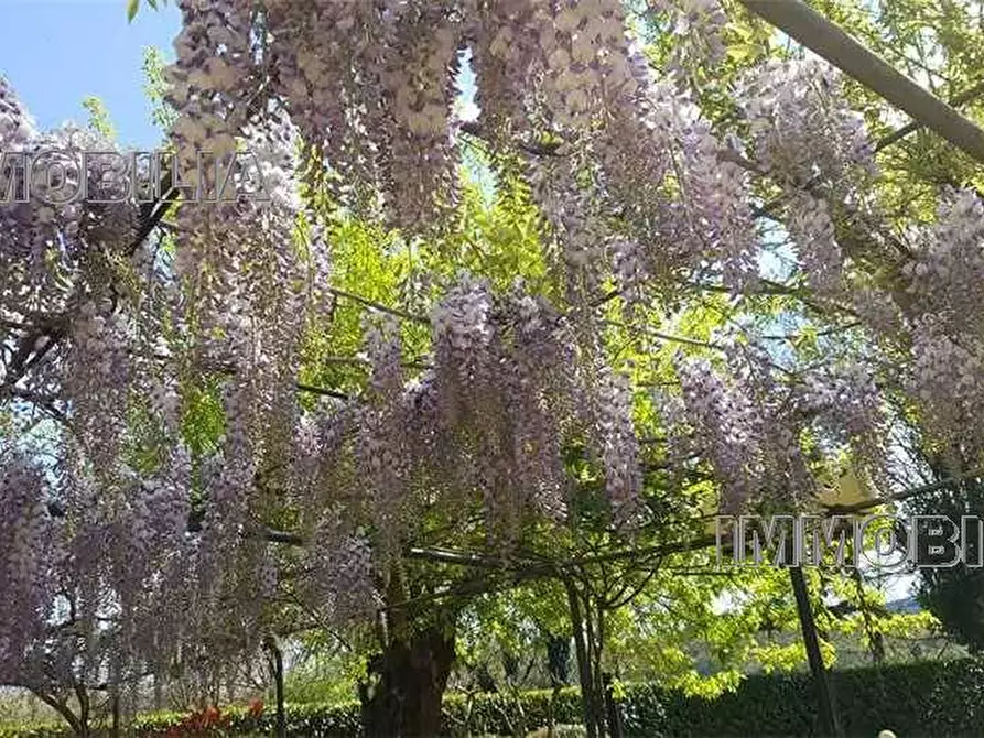Immagine 30 di Villa in vendita  a Monterchi