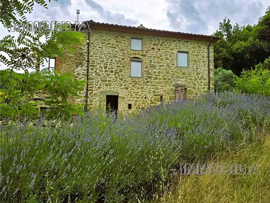 Immagine 11 di Rustico / casale in vendita  a Monterchi