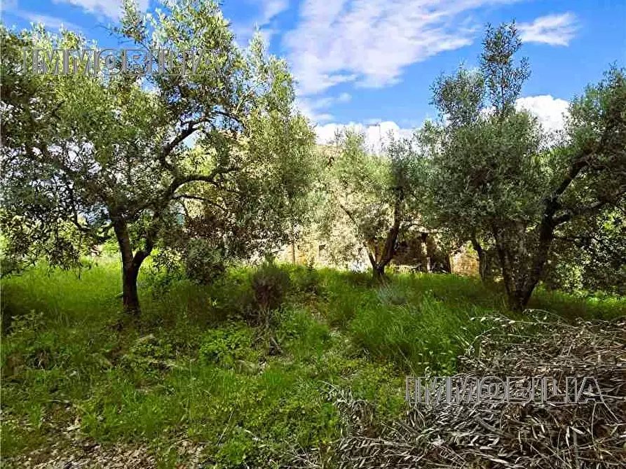 Immagine 3 di Rustico / casale in vendita  a Monterchi