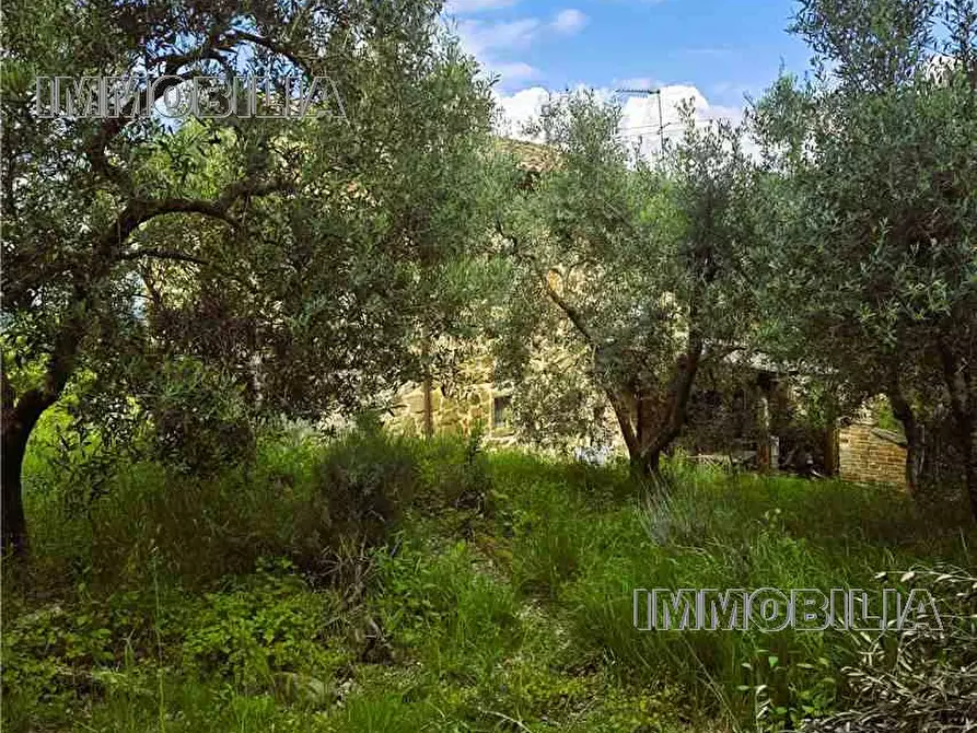 Immagine 4 di Rustico / casale in vendita  a Monterchi