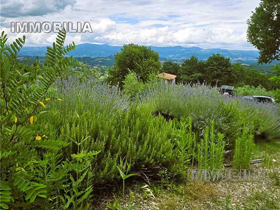 Immagine 5 di Rustico / casale in vendita  a Monterchi