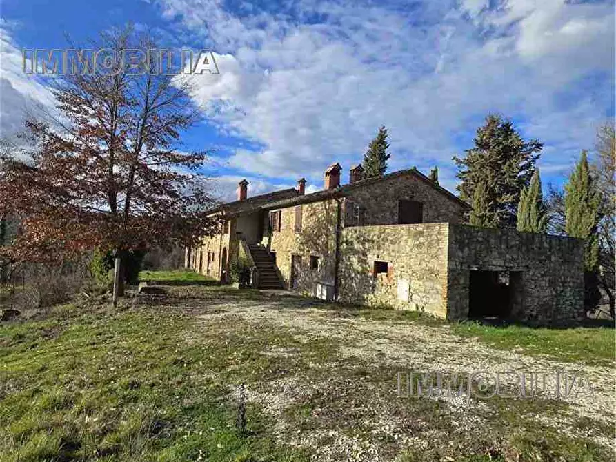 Immagine 3 di Rustico / casale in vendita  a Monte Santa Maria Tiberina