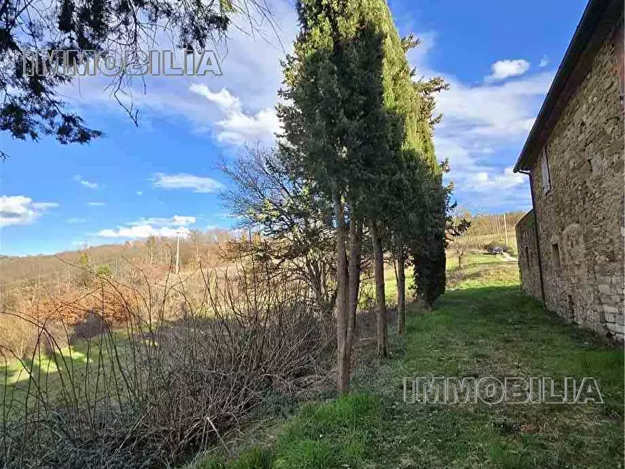 Immagine 33 di Rustico / casale in vendita  a Monte Santa Maria Tiberina