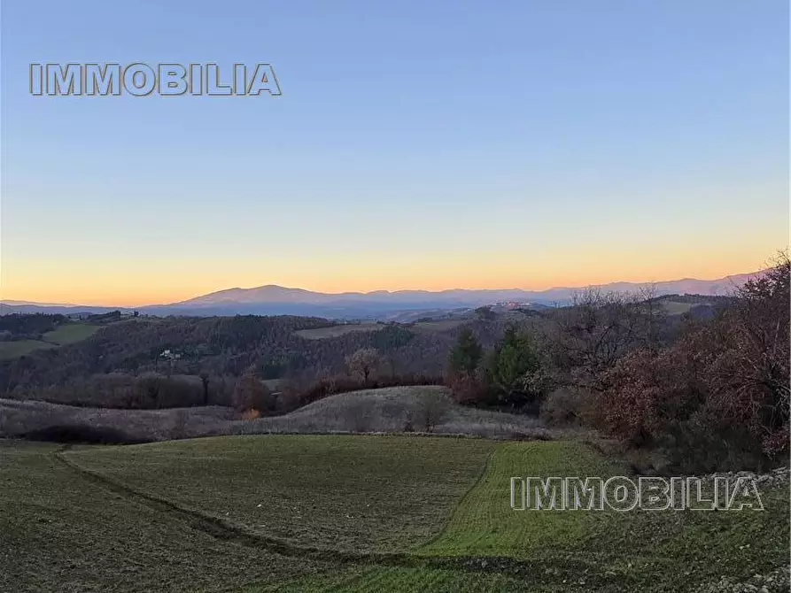 Immagine 34 di Rustico / casale in vendita  a Monte Santa Maria Tiberina