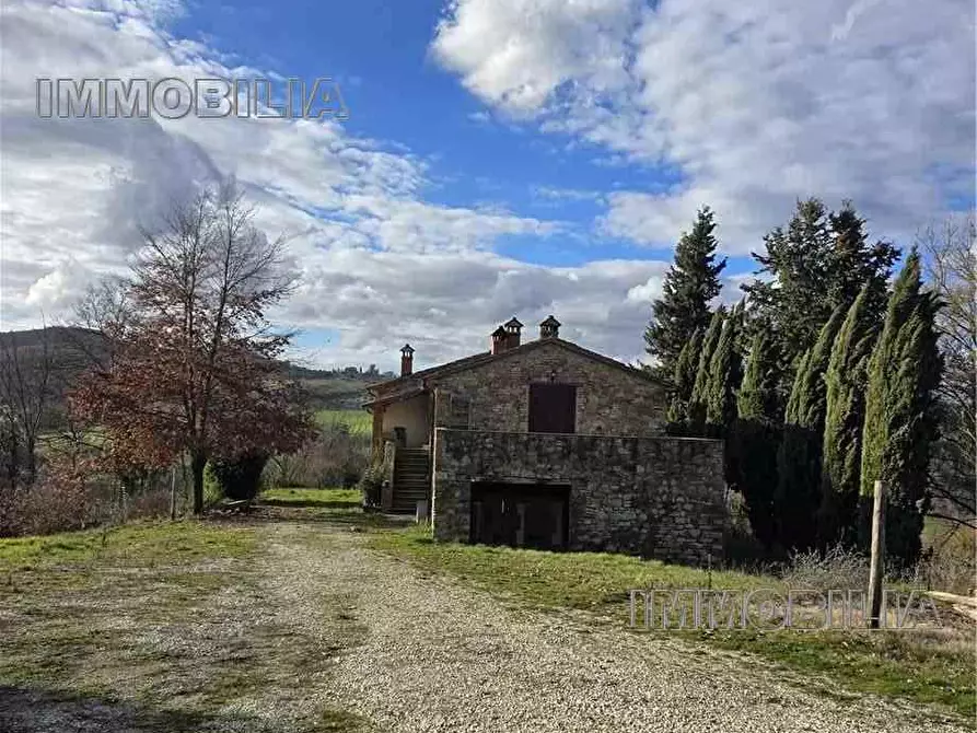 Immagine 35 di Rustico / casale in vendita  a Monte Santa Maria Tiberina
