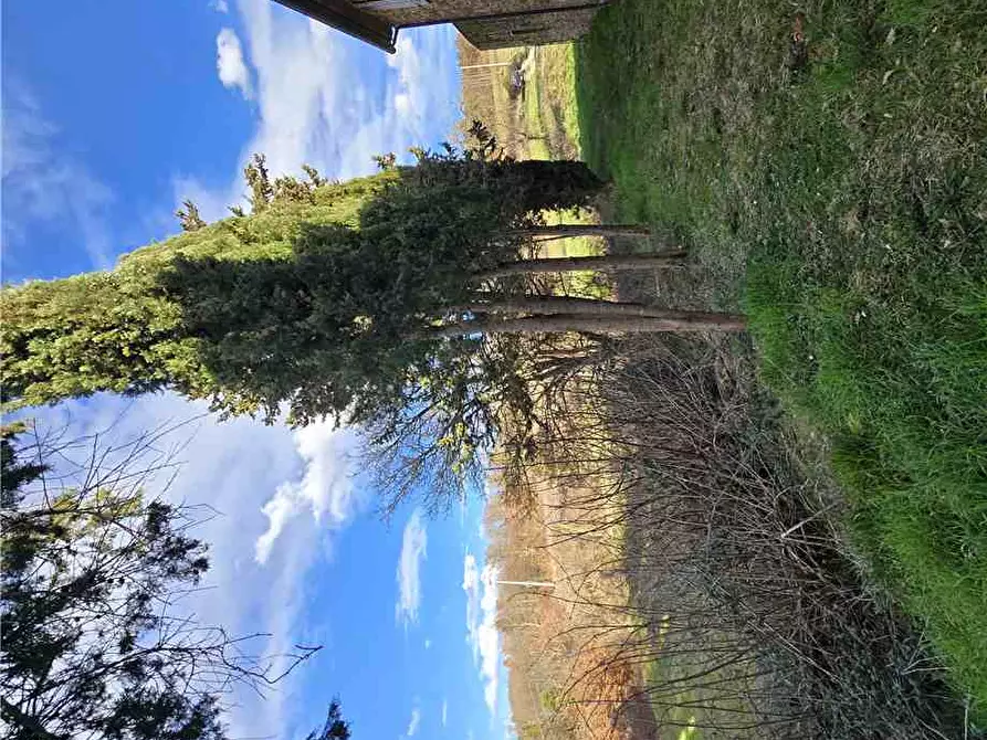 Immagine 7 di Rustico / casale in vendita  a Monte Santa Maria Tiberina