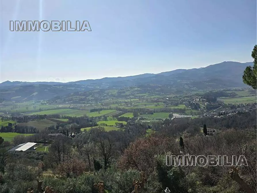Immagine 11 di Porzione di casa in vendita  a Citerna