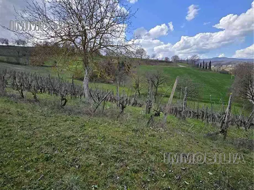 Immagine 1 di Terreno in vendita  a Monterchi