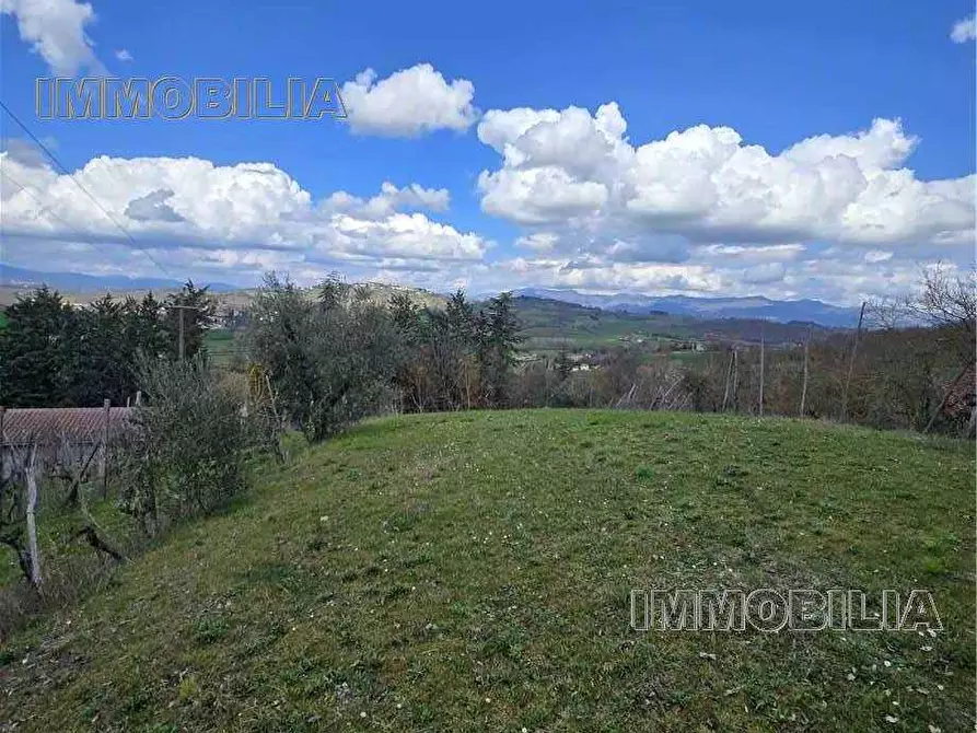 Immagine 3 di Terreno in vendita  a Monterchi