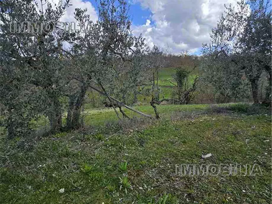 Immagine 4 di Terreno in vendita  a Monterchi