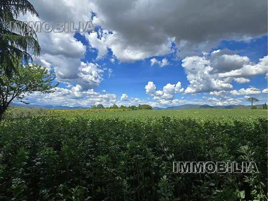 Immagine 1 di Terreno in vendita  a Citerna