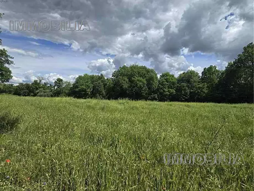 Immagine 2 di Terreno in vendita  a Citerna