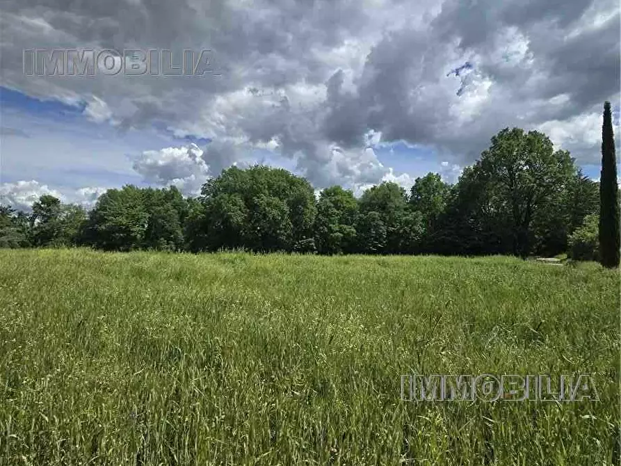 Immagine 3 di Terreno in vendita  a Citerna