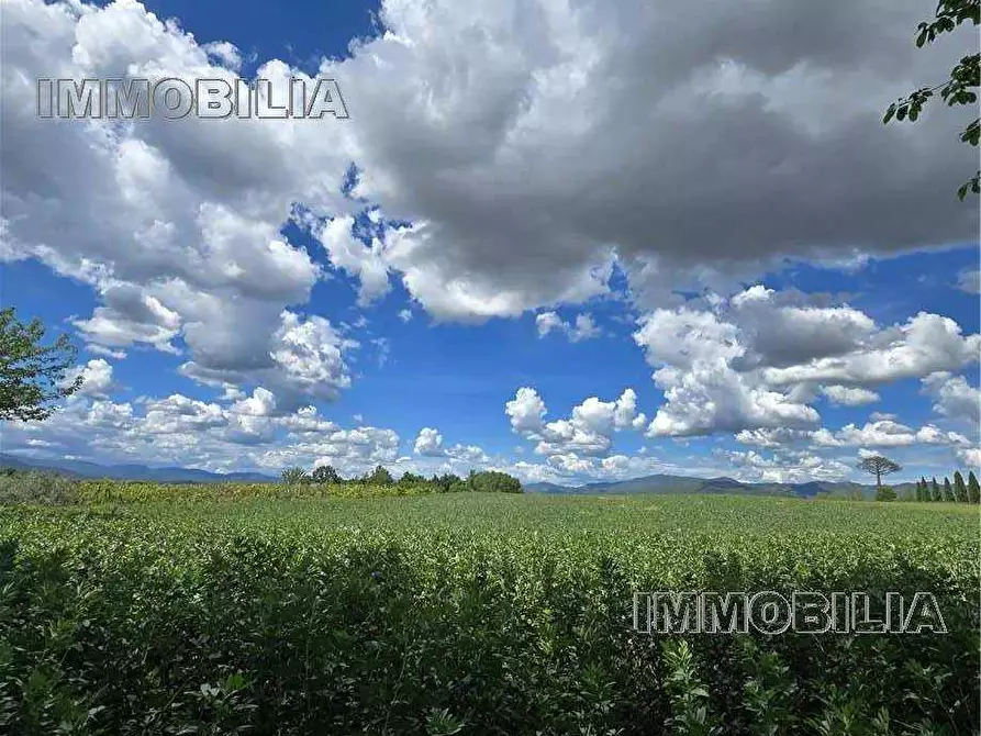 Immagine 4 di Terreno in vendita  a Citerna