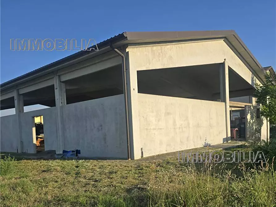 Immagine 1 di Capannone industriale in vendita  a Citerna