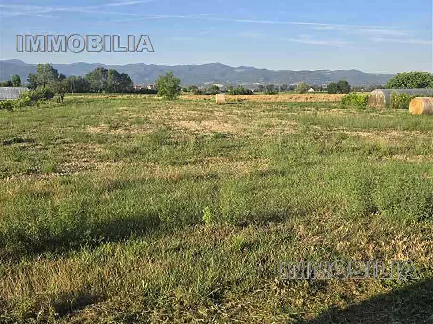 Immagine 4 di Capannone industriale in vendita  a Citerna