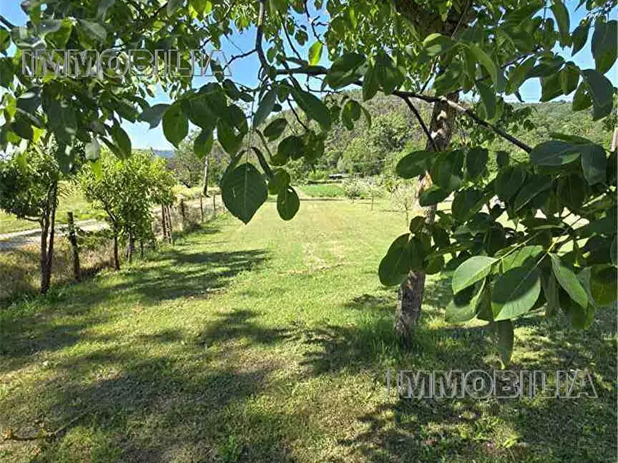 Immagine 2 di Rustico / casale in vendita  a Anghiari