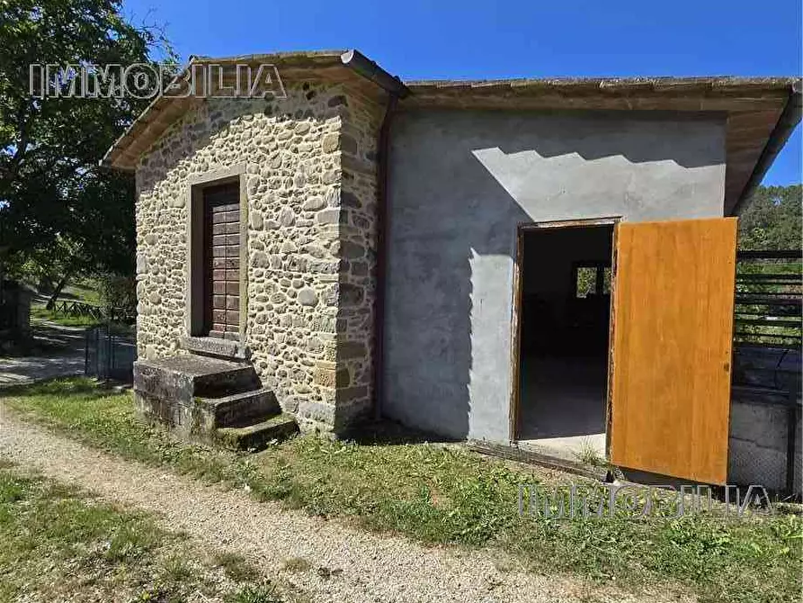 Immagine 4 di Rustico / casale in vendita  a Anghiari