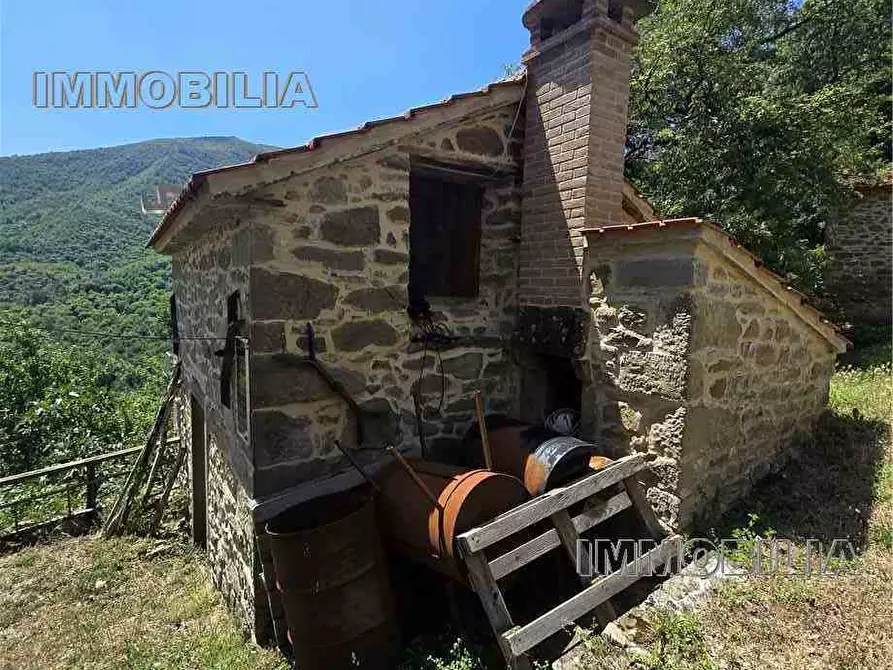 Immagine 32 di Porzione di casa in vendita  a Caprese Michelangelo