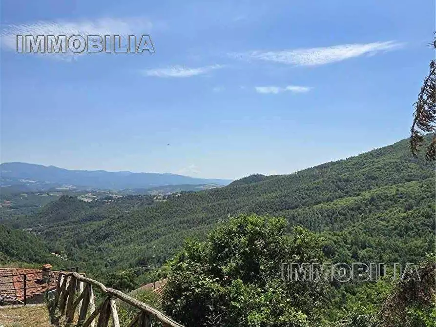 Immagine 34 di Porzione di casa in vendita  a Caprese Michelangelo