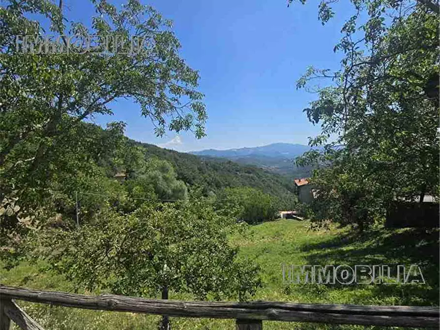 Immagine 35 di Porzione di casa in vendita  a Caprese Michelangelo