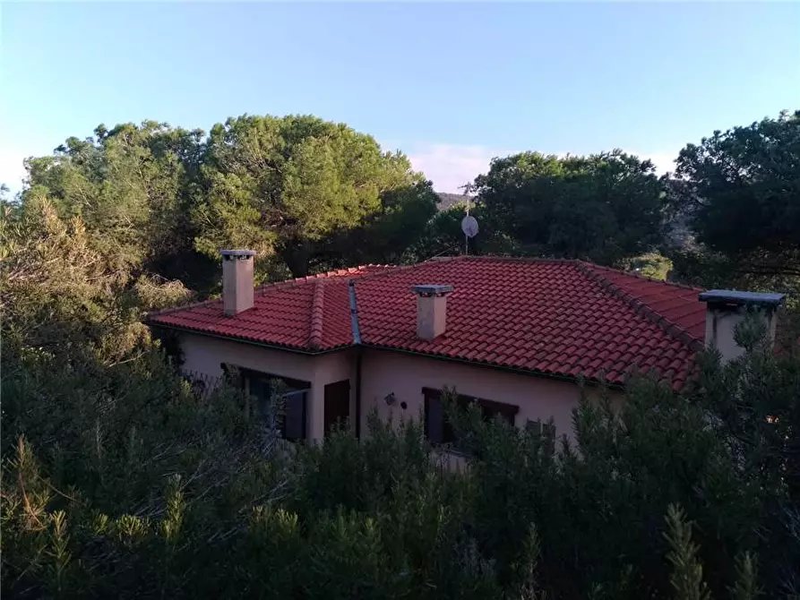 Immagine 1 di Villa in vendita  a Campo Nell'elba