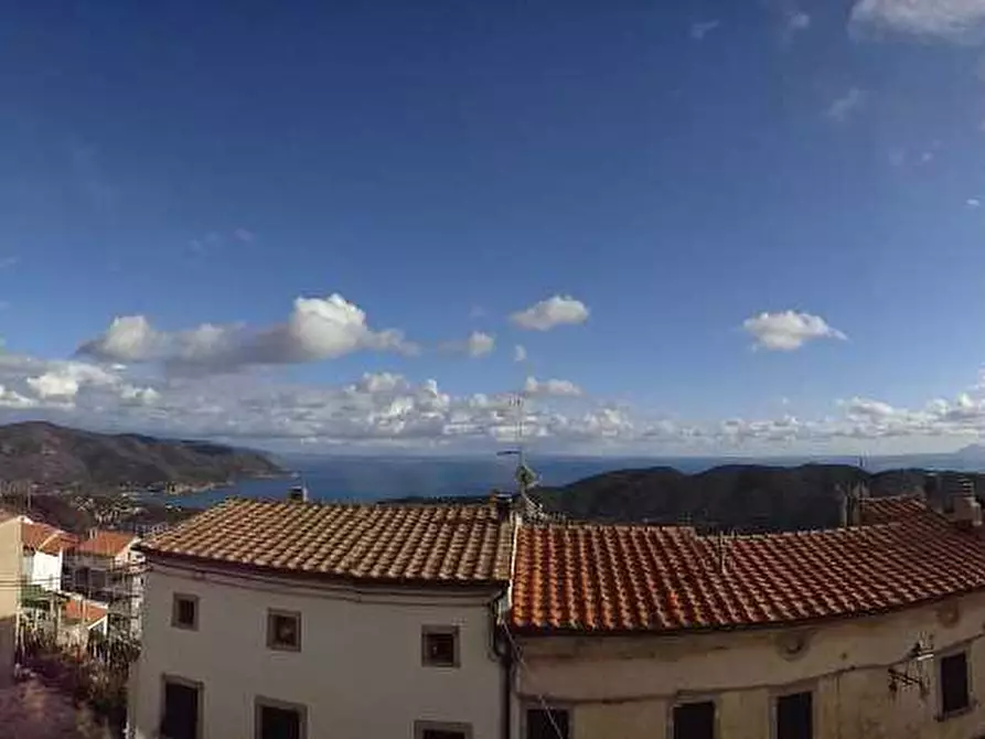 Immagine 4 di Villa in vendita  a Campo Nell'elba