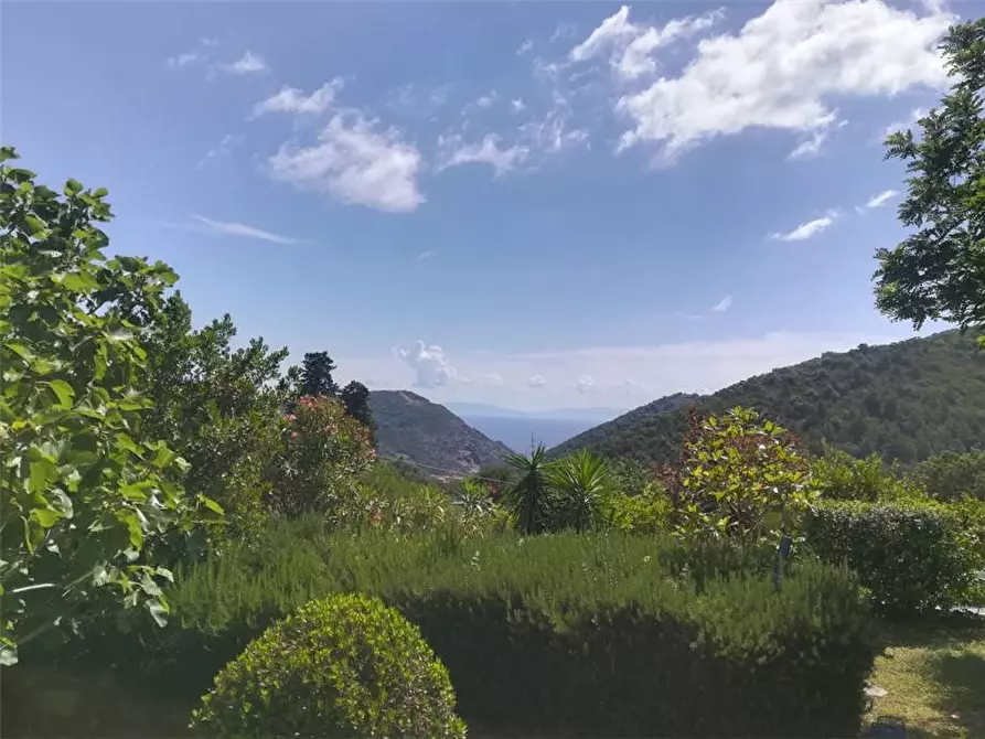 Immagine 3 di Villa in vendita  a Rio