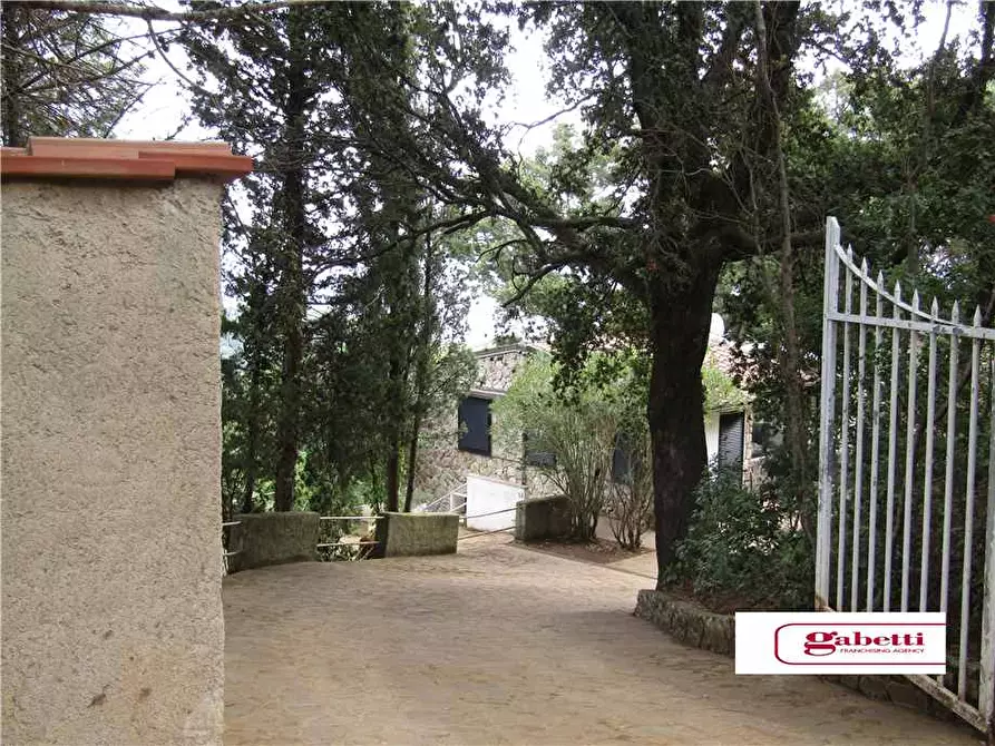 Immagine 3 di Villa in vendita  a Portoferraio