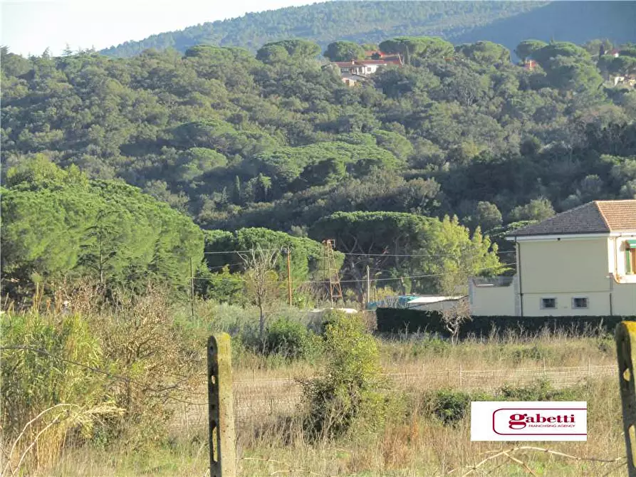 Immagine 4 di Terreno in vendita  a Capoliveri