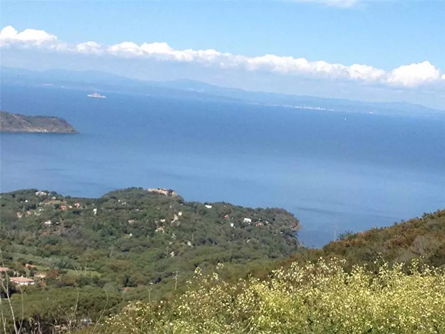 Immagine 3 di Terreno in vendita  a Capoliveri