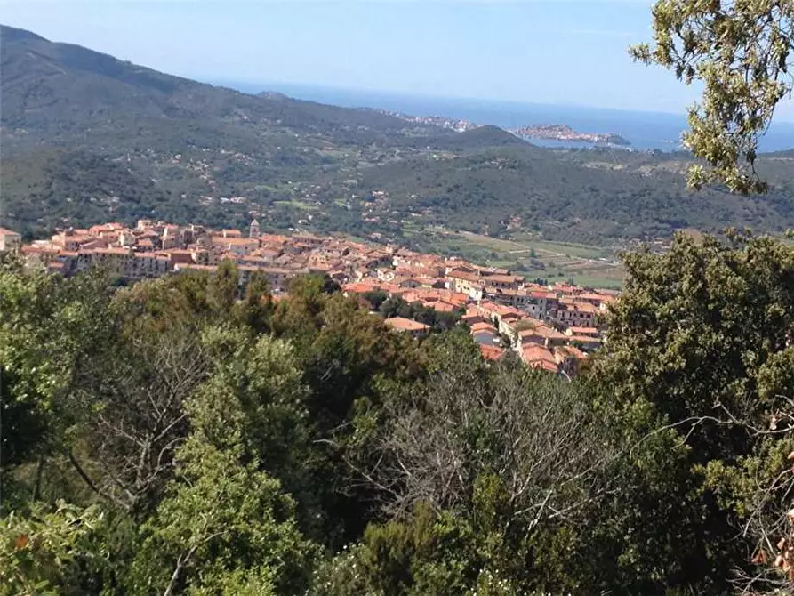 Immagine 4 di Terreno in vendita  a Capoliveri