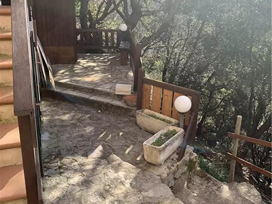 Immagine 6 di Appartamento in vendita  a Marciana