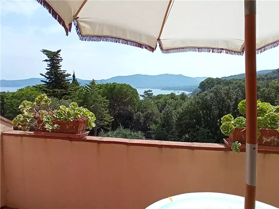 Immagine 13 di Appartamento in vendita  a Marciana Marina