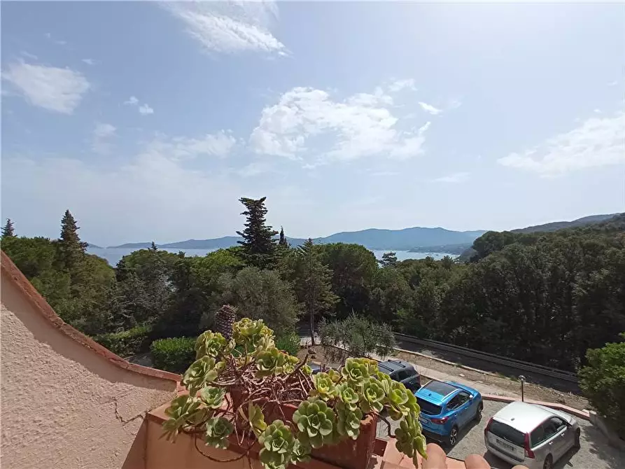 Immagine 3 di Appartamento in vendita  a Marciana Marina