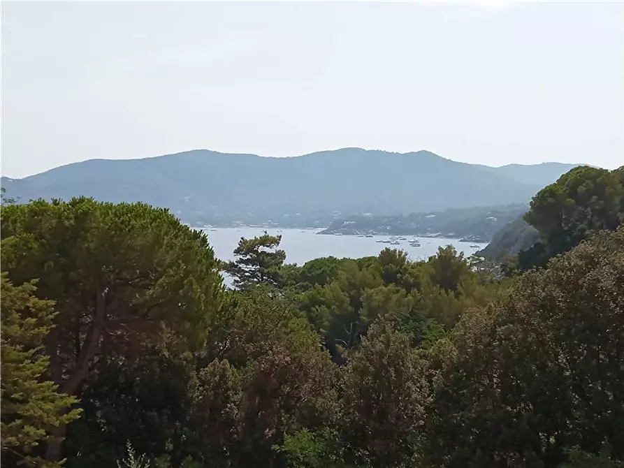 Immagine 4 di Appartamento in vendita  a Marciana Marina