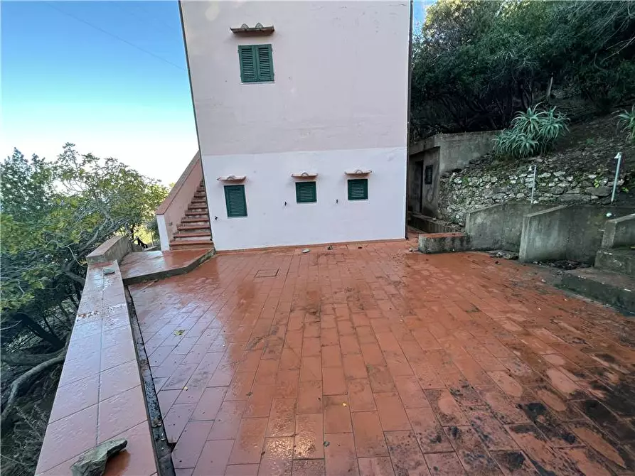 Immagine 6 di Porzione di casa in vendita  a Marciana Marina