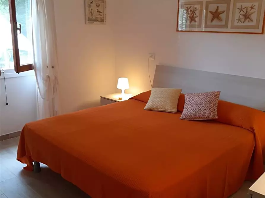Immagine 5 di Villa in vendita  a Portoferraio