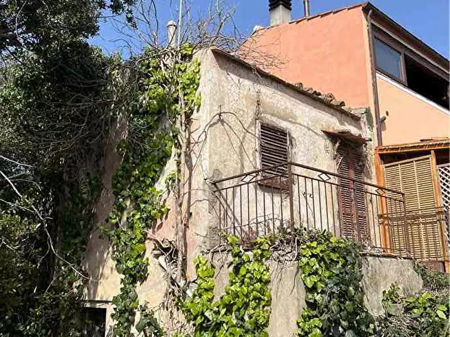 Immagine 2 di Rustico / casale in vendita  a Marciana