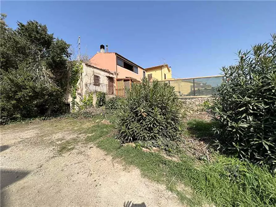 Immagine 3 di Rustico / casale in vendita  a Marciana