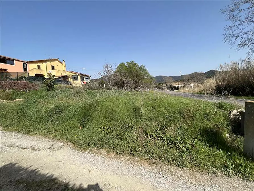 Immagine 5 di Rustico / casale in vendita  a Marciana