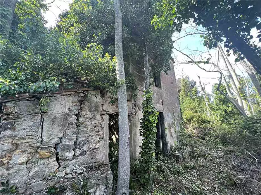 Immagine 1 di Rustico / casale in vendita  a Rio