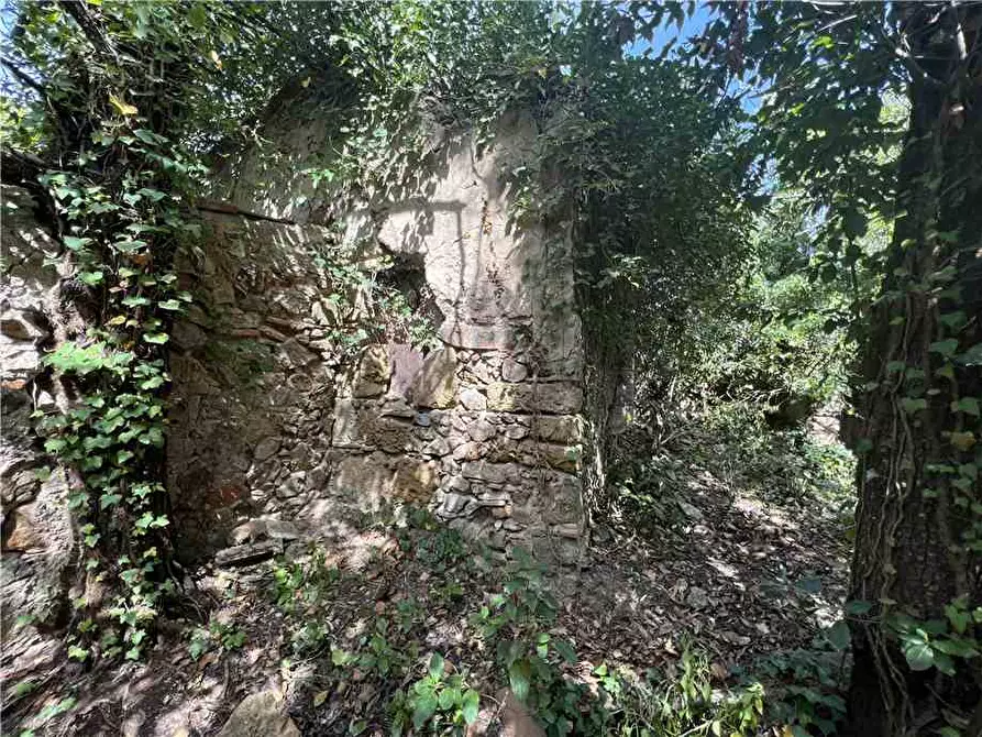 Immagine 2 di Rustico / casale in vendita  a Rio