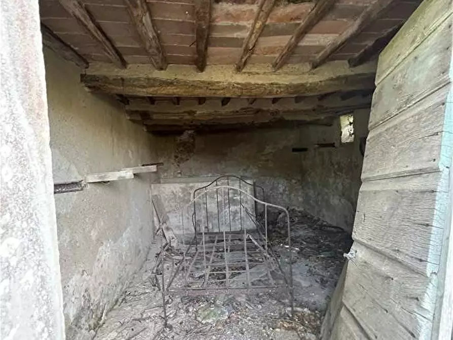 Immagine 3 di Rustico / casale in vendita  a Rio